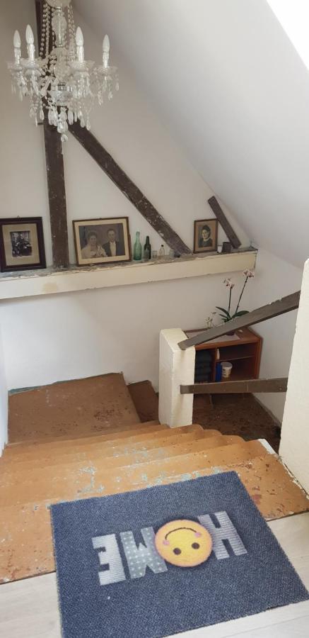 Ferienwohnung Salamander ピルナ エクステリア 写真
