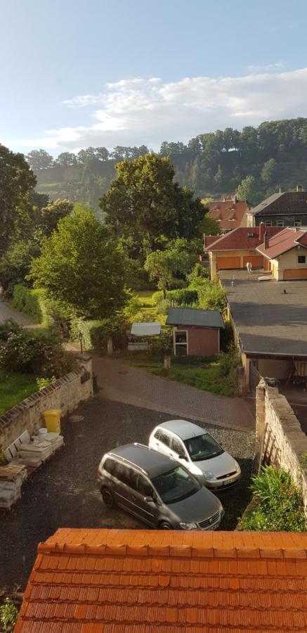 Ferienwohnung Salamander ピルナ エクステリア 写真